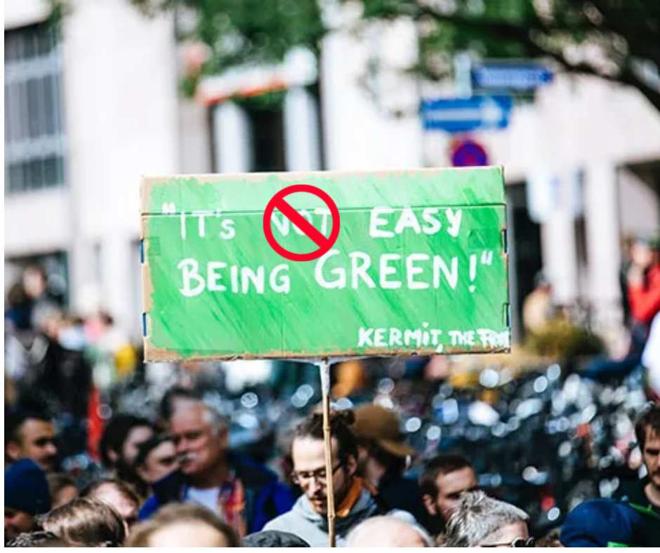 EASY BEING GREEN: L2R Lets True Colors Shine Through