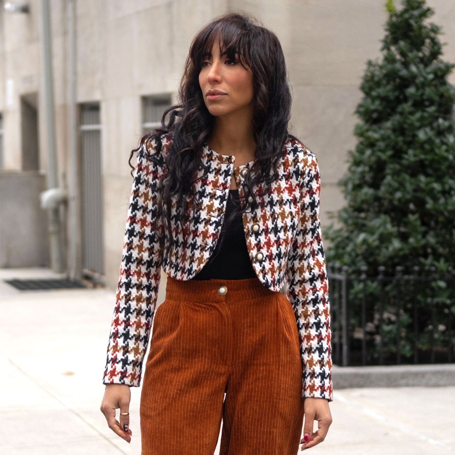 Spencer Jacket in Brown and White